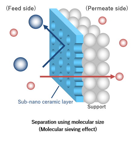 Separate specific molecules based on differences in molecular size.