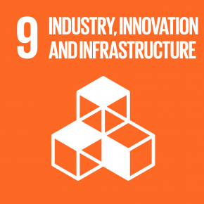9 Build resilient infrastructure, promote inclusive and sustainable industrialization, and foster innovation