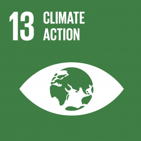 13 Take urgent action to combat climate change and its impacts