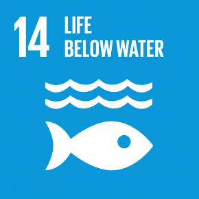 14 Conserve and sustainably use the oceans, seas, and marine resources for sustainable development