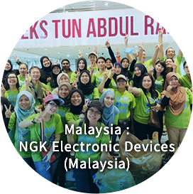NGK Electronic Devices (Malaysia)