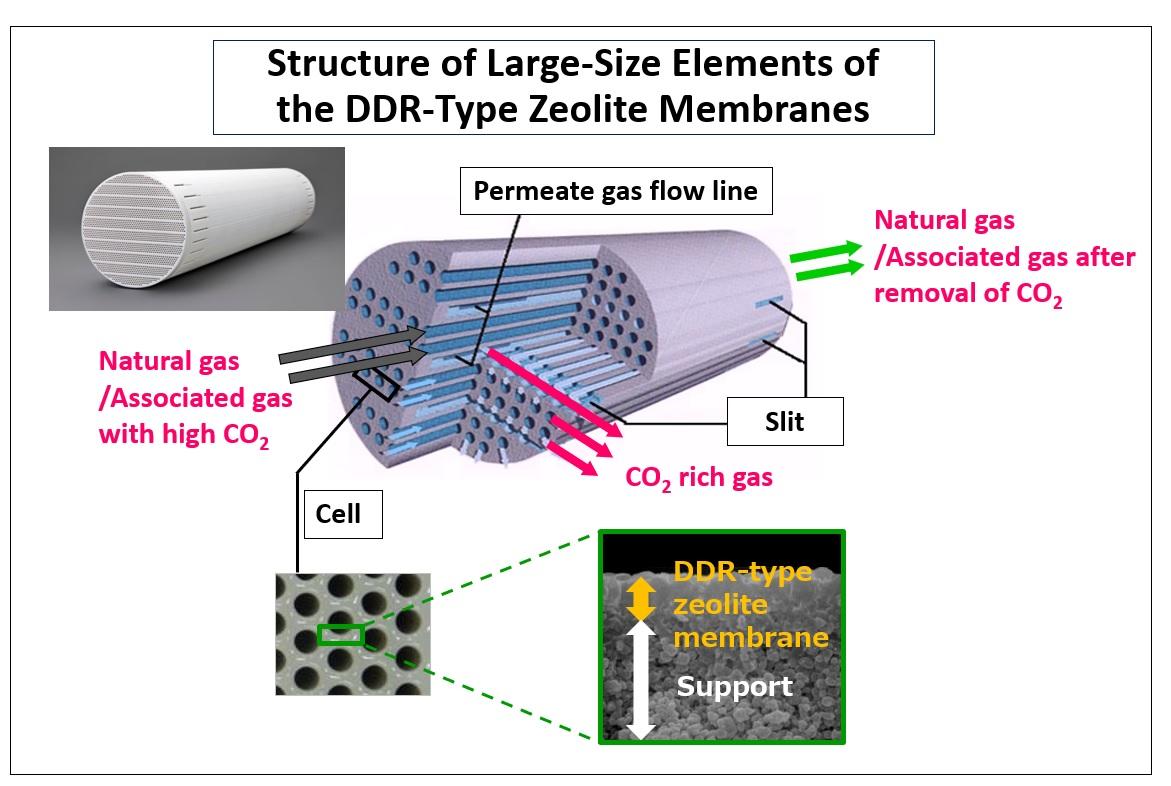 Structure of Large-Size Elements of the DDR-Type Zeolite Membranes