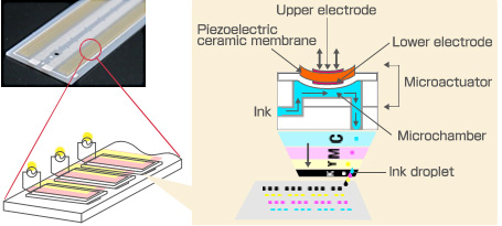 Ceramic Microactuators for Inkjet Printer Heads