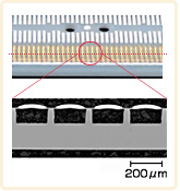 Sectional view by electron microscope