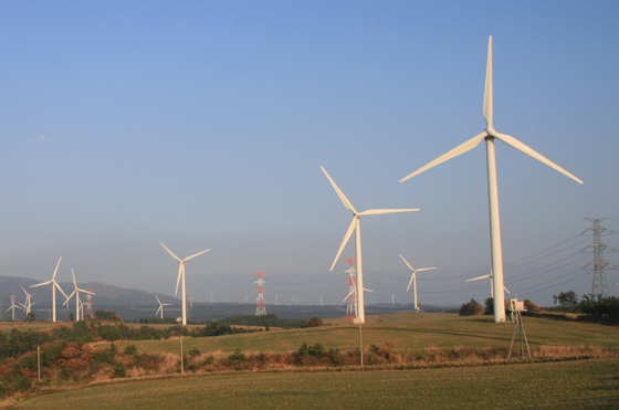 Stabilization of a Huge Wind Farm