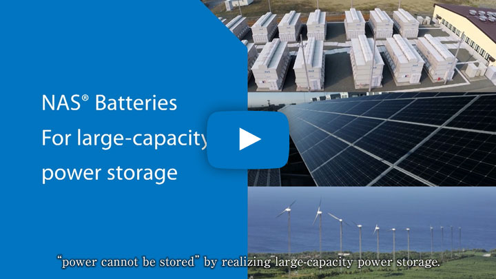 NAS Batteries for large-capacity power storage