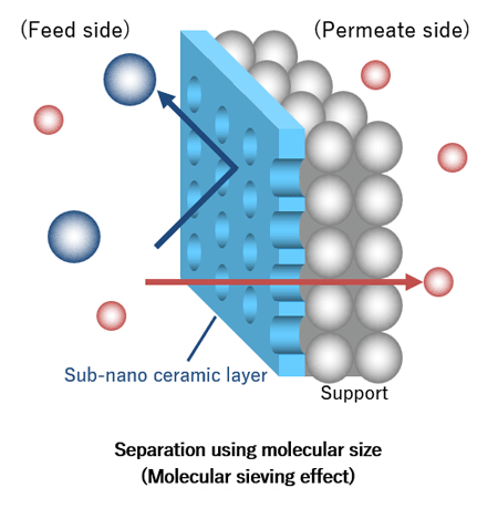 Separate specific molecules based on differences in molecular size.