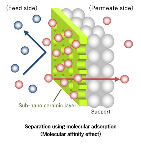 Separate specific molecules based on differences in adsorption properties.