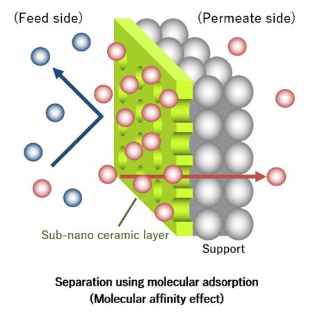 Separate specific molecules based on differences in adsorption properties.