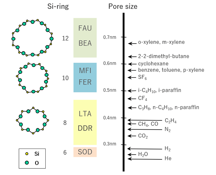 Size of zeolite pores and molecules.