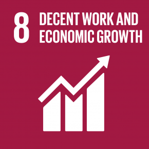 8 Promote sustained, inclusive and sustainable economic growth, full and productive employment, and decent work for all