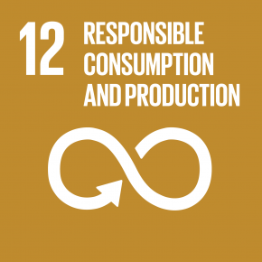 12 Ensure sustainable consumption and production patterns
