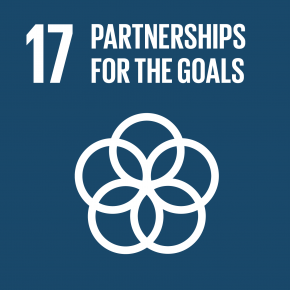 17 Strengthen the means of implementation and revitalize the global partnership for sustainable development